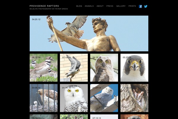 providenceraptors.com site used Autofocus Pro