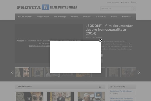 VideoPlus theme site design template sample