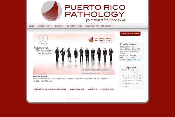 Contempt theme site design template sample