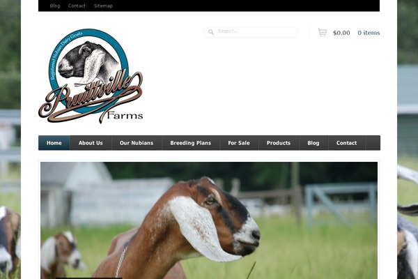 Function theme site design template sample