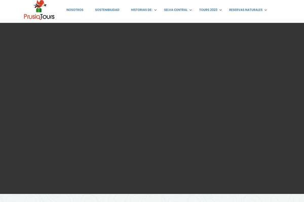Traveler theme site design template sample