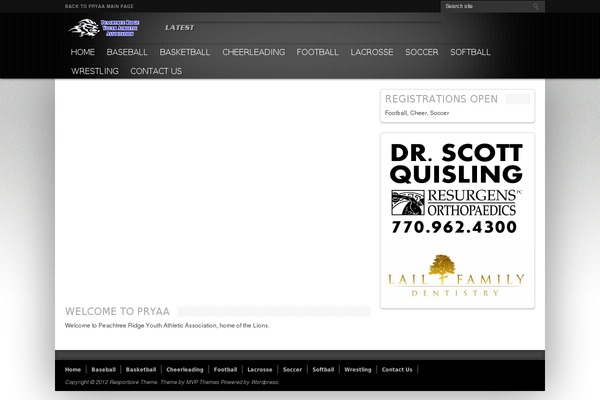 Resportsive theme site design template sample