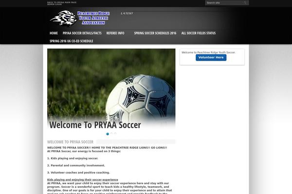 Resportsive theme site design template sample