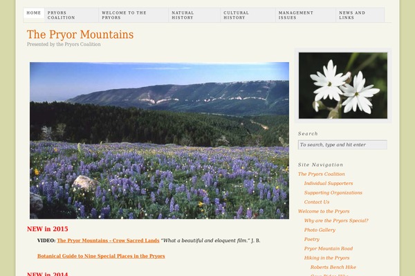 Site using Dave's WordPress Live Search plugin