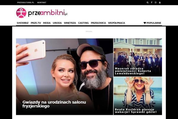 15Zine theme site design template sample