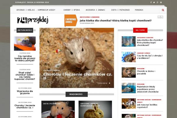 Build theme site design template sample