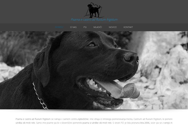 Spa theme site design template sample