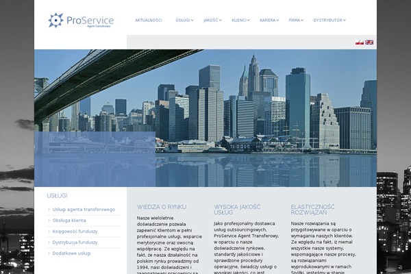 Novus theme site design template sample