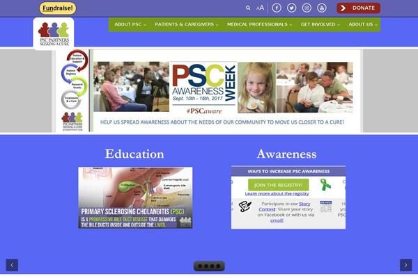 Psc theme site design template sample