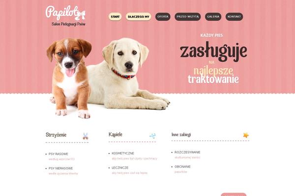 Site using Pronamic Cookies plugin