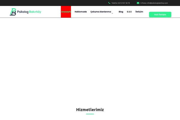 Copallyt theme site design template sample