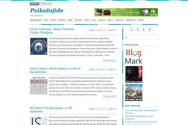 Bisade theme site design template sample