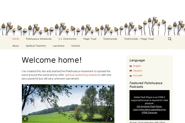 Twenty Thirteen theme site design template sample
