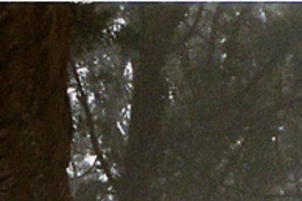 Parallax theme site design template sample