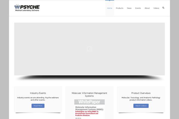 Site using Section Widget plugin