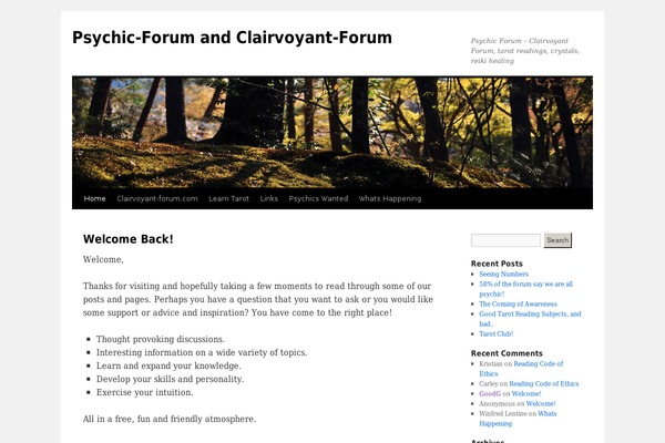 Twenty Ten theme site design template sample