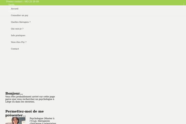 Site using Widgetize Pages Light plugin