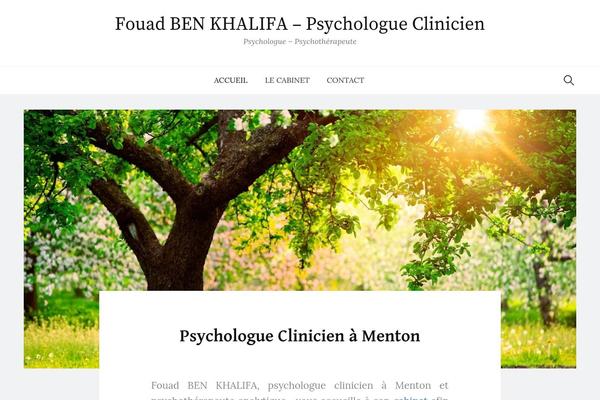 psychologue-menton.fr site used Seomag