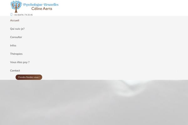 Site using Widgetize Pages Light plugin