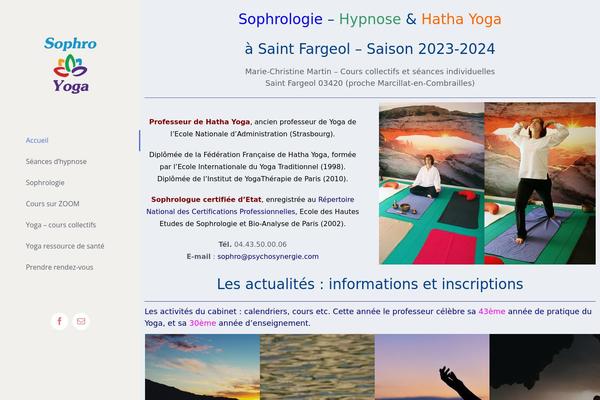 Site using X-shortcodes plugin