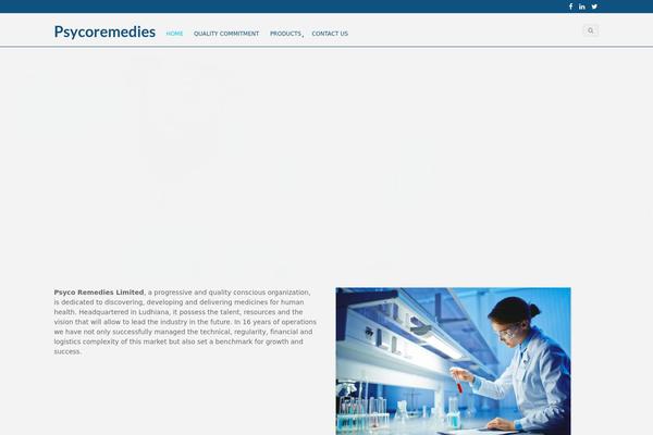 Blaszok eCommerce Theme theme site design template sample
