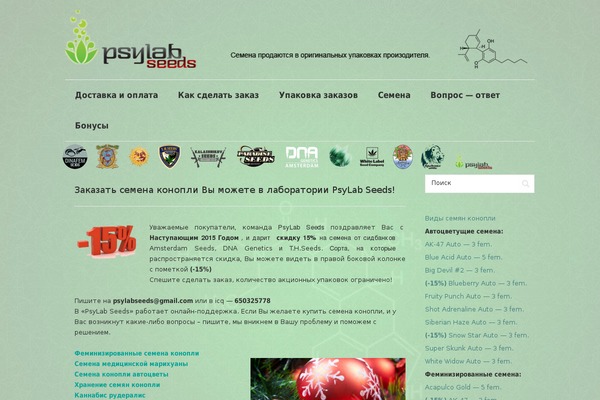 Prana theme site design template sample