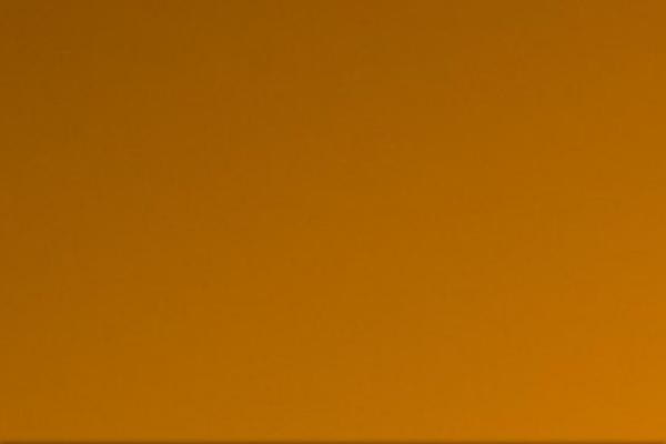 ptec theme websites examples