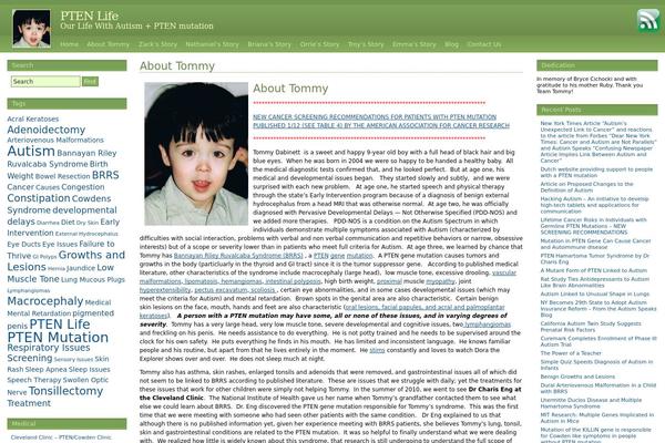 Site using GT Tabs (formerly postTabs) plugin