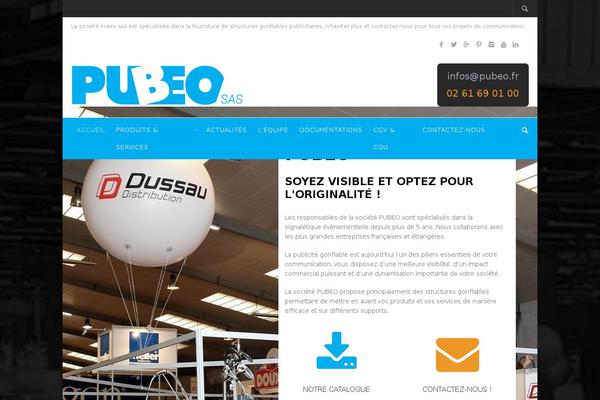 Salbii theme site design template sample