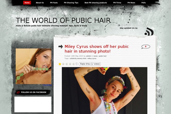 Greyzed theme site design template sample