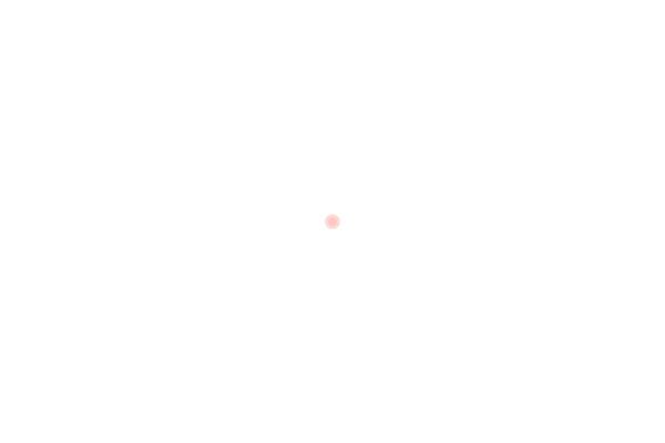 Site using Wp-mapbox-gl-js plugin