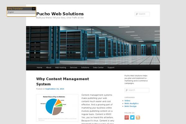 puchowebsolutions.com site used Mytweentyeleven