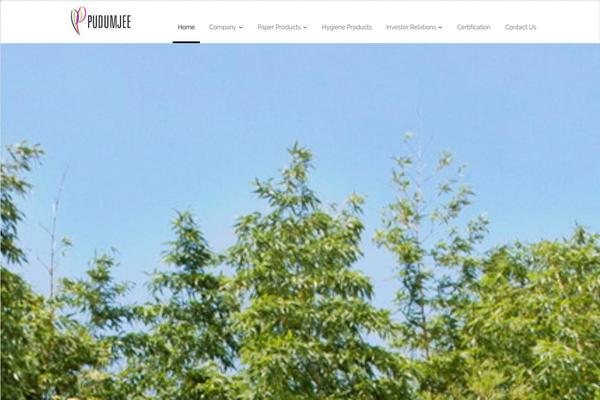 Netstudio-wp theme site design template sample