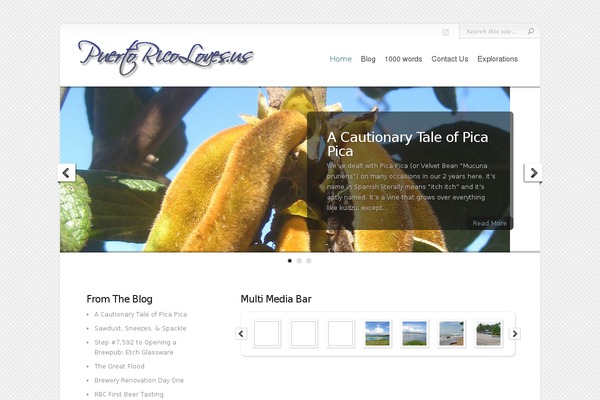Chameleon theme site design template sample