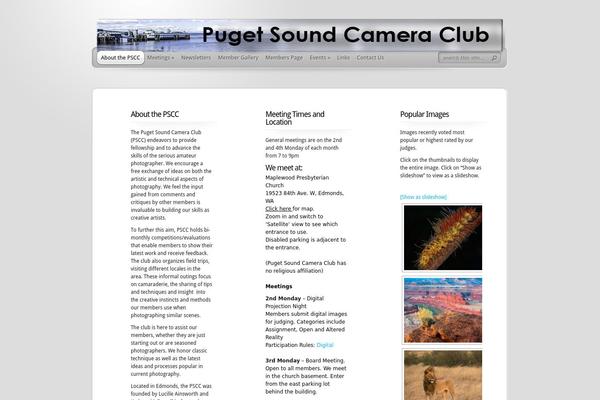TheProfessional theme site design template sample