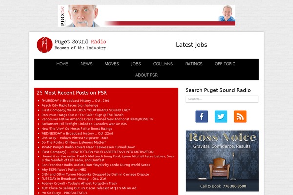 Newspaper theme site design template sample