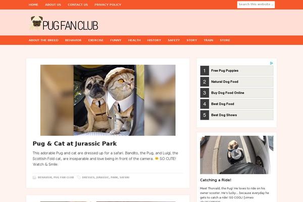 Somozine-somo theme site design template sample