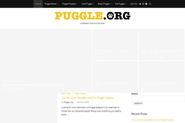 Site using MailChimp for WordPress plugin