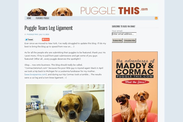 Jenny theme site design template sample