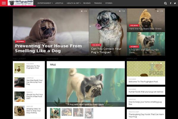 Flex Mag theme site design template sample