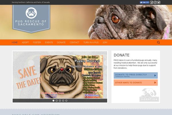 Site using Responsive Lightbox by dFactory plugin