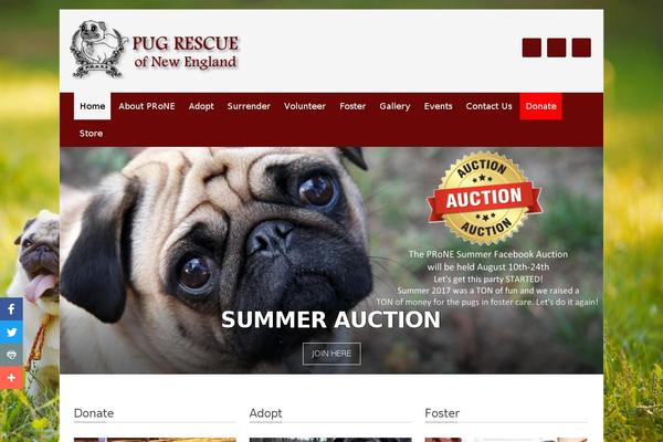 Flex theme site design template sample