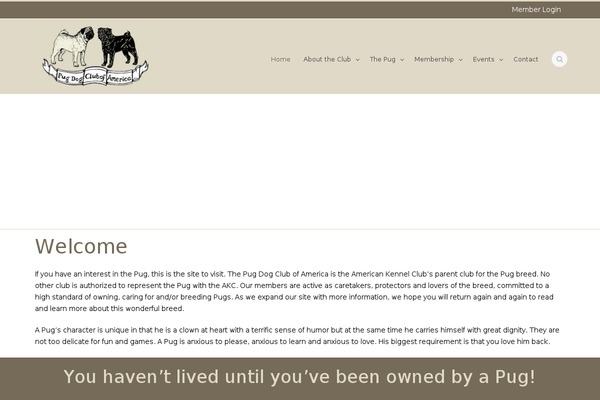 Flawless theme site design template sample