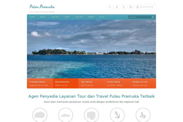 Site using WordPress Social Ring (Facebook Like, Google +1, ReTweet, LinkedIn and Pin It) plugin