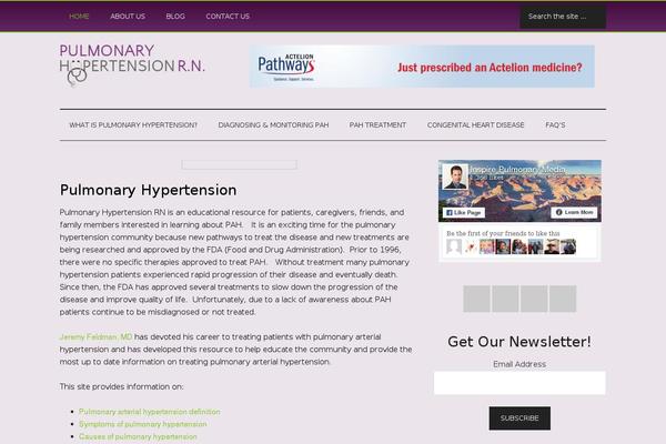 Magazine Pro theme site design template sample