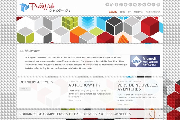 Fullscene theme site design template sample