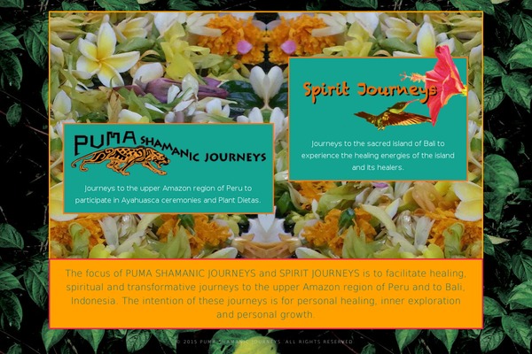 Acoustic theme site design template sample