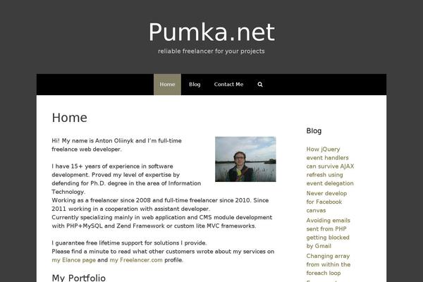Freelancer theme site design template sample