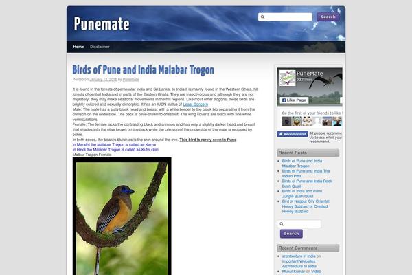Third Style theme site design template sample