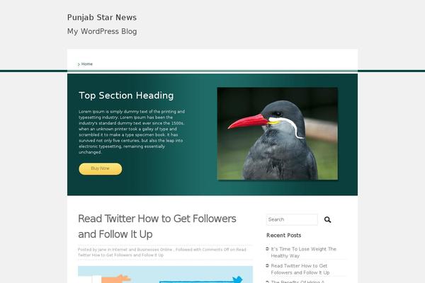 ToomMorel Lite theme site design template sample